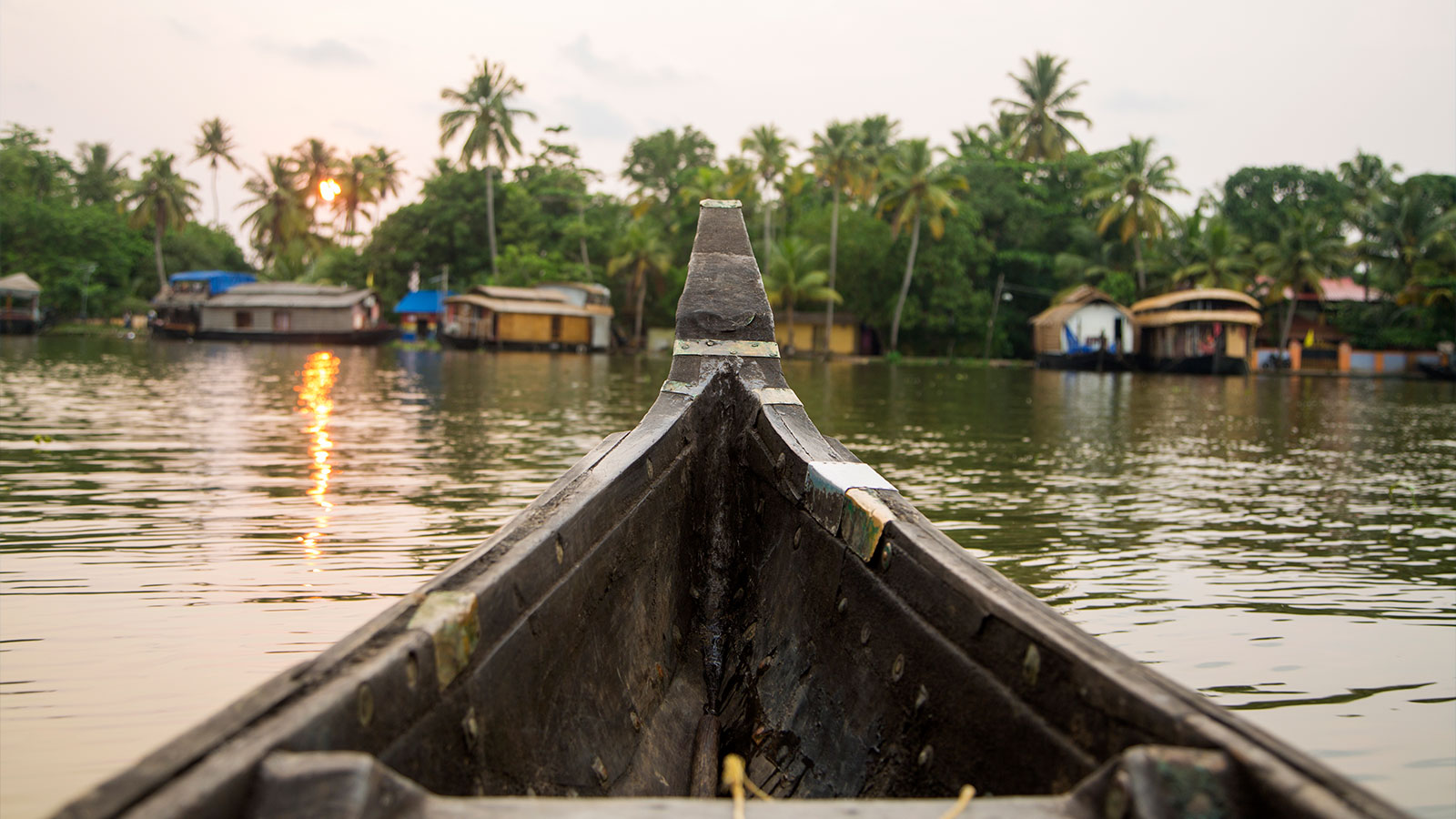 Boating in Kochi backwaters